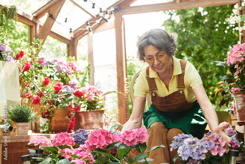 Картината върху платно Senior woman nurturing vibrant blooms while tending her flourishing garden sanct