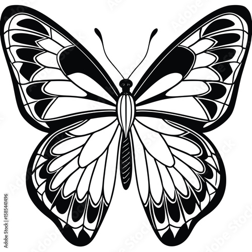 Pristine White Butterfly Isolated on Transparent Background (Vector)