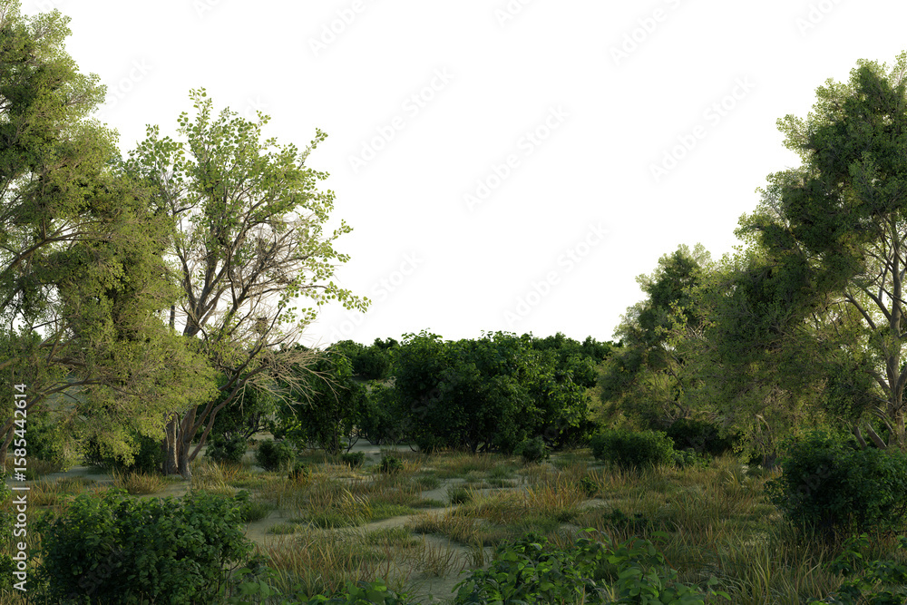 Fototapeta premium Lush green foliage dominates a sun-dappled landscape. dirt path winds through the undergrowth, leading into a denser collection of trees and shrubs. evokes a sense of natural wilderness