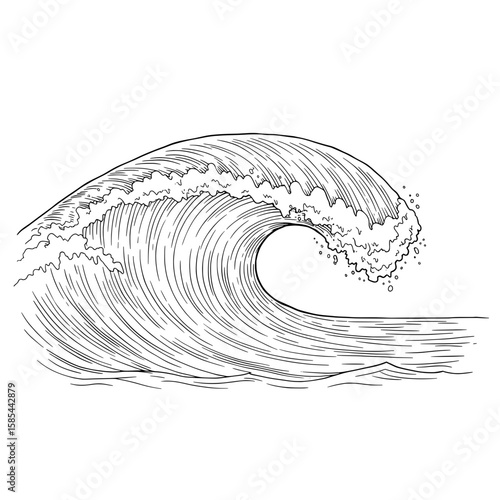 Ocean Wave Crest An artful black-and-white illustration of a towering ocean wave with foam and detail