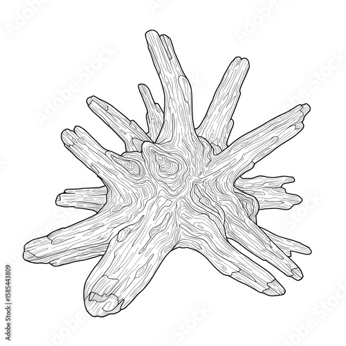 Wood stump with protruding limbs displaying detailed grain, black outlines on white