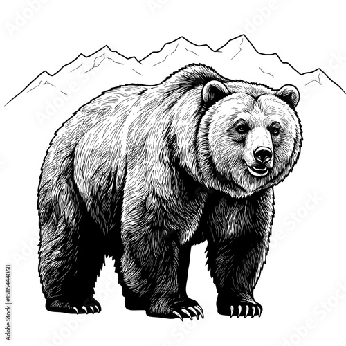 Drawn bear with mountains behind it, depicted in monochrome shades of black & white