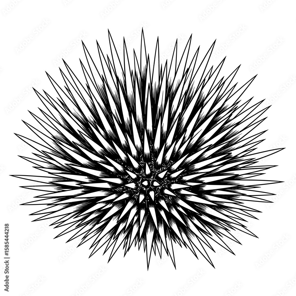 Obraz premium Spiky, black-and-white, radiating from a dense center on a white background, geometric design