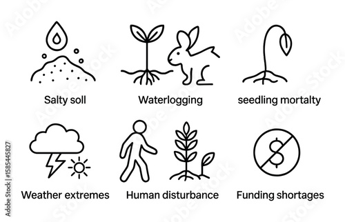 Mangrove Restoration Icons. Outline icon set of mangrove restoration challenges: salty soil, waterlogging,