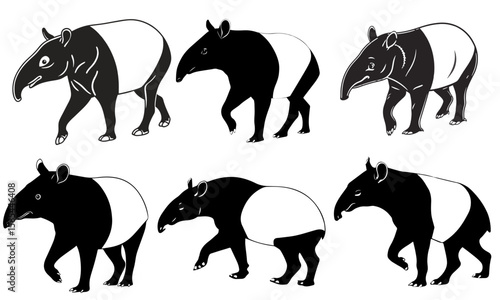 Tapir vector silhouette illustration in black eps 10