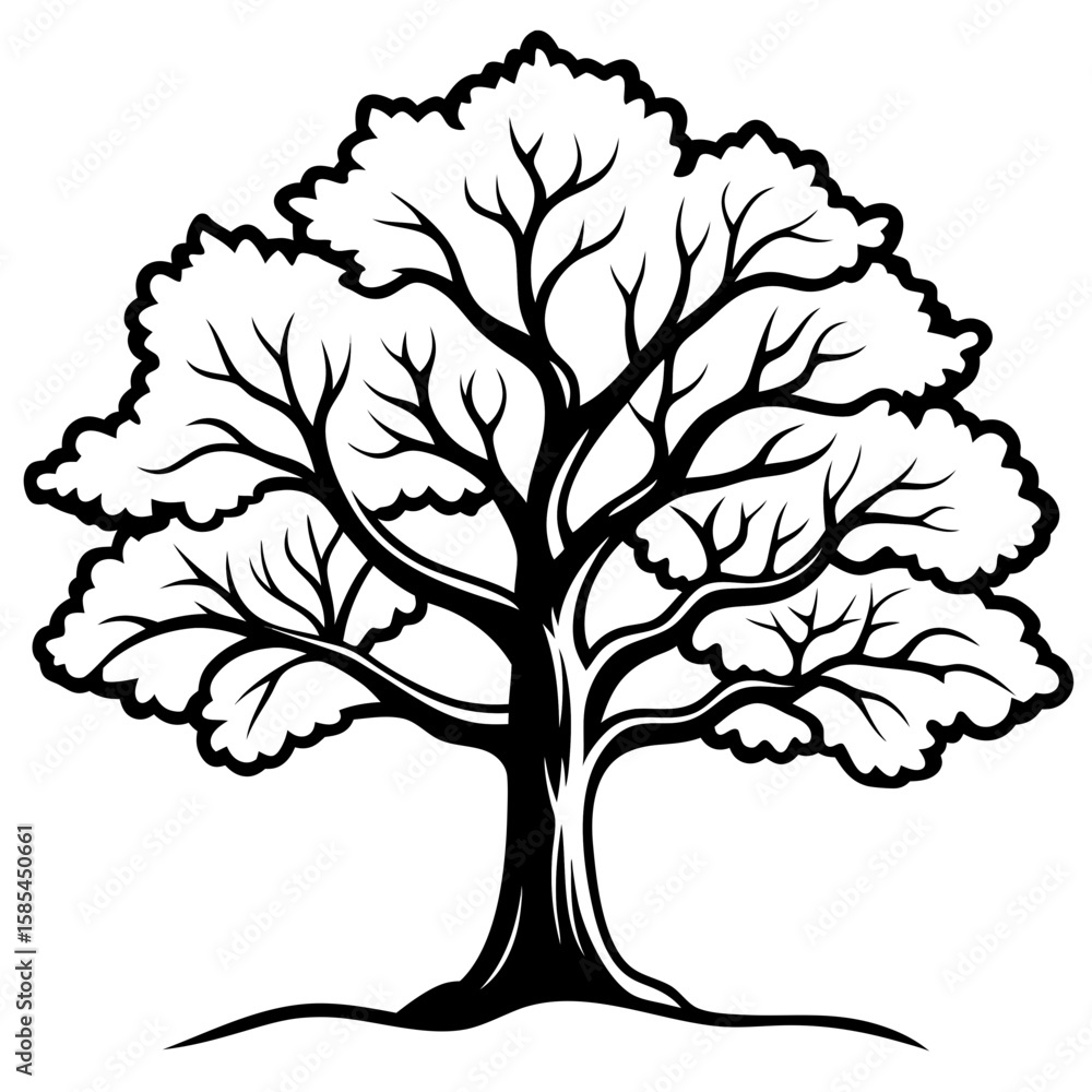 Obraz premium Vintage Oak Tree Outline Vector