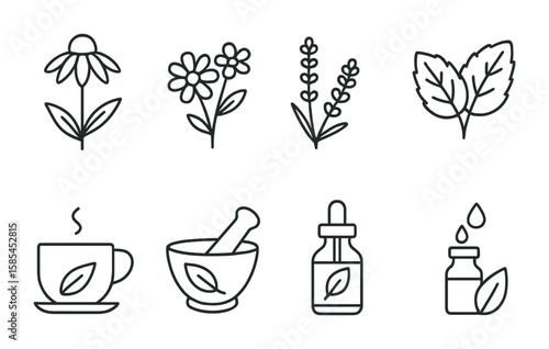 Medicinal Herb Icons. Outline icon set of medicinal wild plants: echinacea, chamomile, lavender, mint leaves,