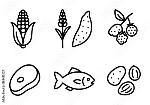 Indigenous Food Icons. Outline icon set of Indigenous food sources: maize, quinoa, cassava, wild berries, game