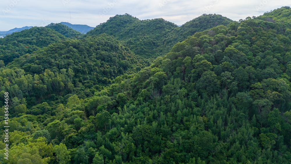 Obraz premium Aerial view of lush green forested hills under a cloudy sky. Dense tropical vegetation covers rolling terrain, perfect for concepts of nature, environment, conservation, and travel destinations.