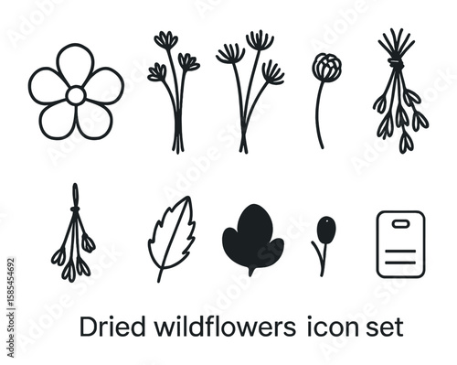 Dried Wildflower Icons. Outline icon set of dried wildflowers: pressed bloom, stem bundle, seed head, tied