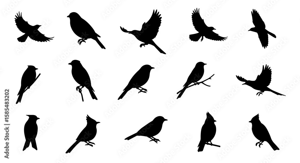 Fototapeta premium A diverse collection of black bird silhouettes in various poses including flying, perched, and standing, isolated on a white background.