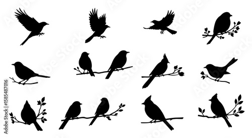 Diverse black bird silhouettes: a collection of flying birds and perched songbirds on branches with leaves, isolated on a white background, perfect for nature and wildlife themes.