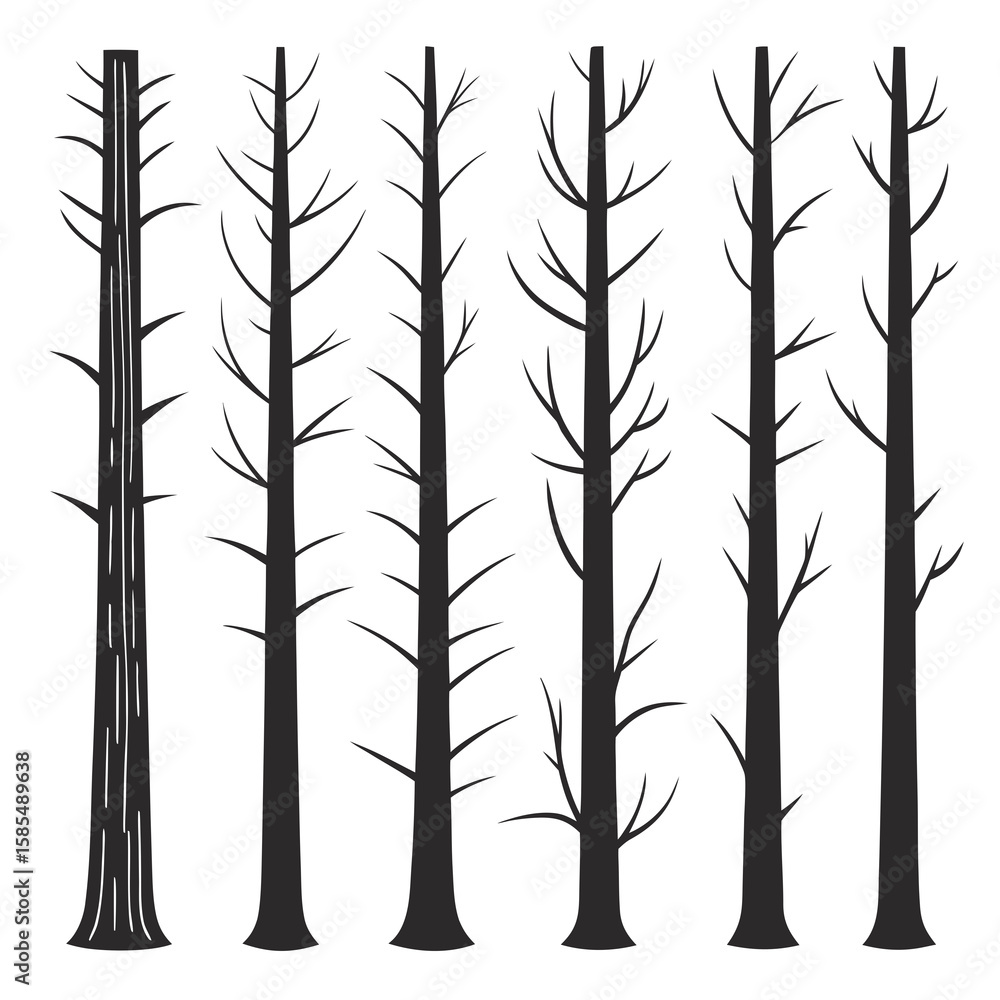 Fototapeta premium Bare Trees Forest Silhouette black