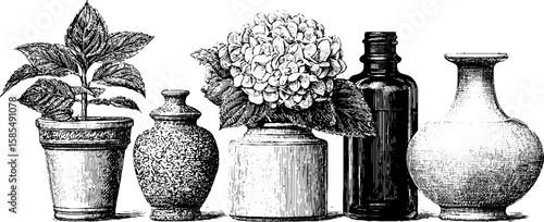 Engraved aromatherapy illustration set featuring essential oil containers and floral elements
