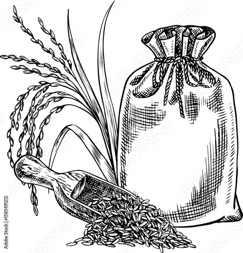 Burlap bags and a wooden scoop with rice or oats, wheat or rye. Black and white graphics, vector illustrations. Design element for menus, recipes and cookbooks. For banners, flyers, packaging, labels.