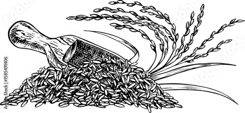 A wooden spatula filled with rice, wheat, oats, or rye. A black and white vector illustration. Design element for menus, recipes, and cookbooks, for banners, flyers, packaging, labels, and more.