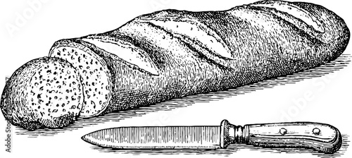 Vintage engraving of baguette loaf and bread with knife for culinary designs