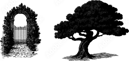 Vintage engraving of garden gate and majestic tree for classical landscape design