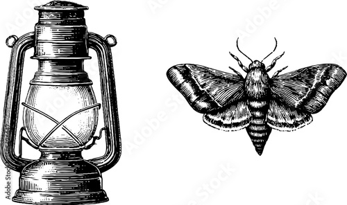 Vintage lantern and moth engraving for retro design art print