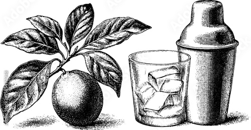 Engraved mixology set with cocktail shaker and citrus illustration for beverage design