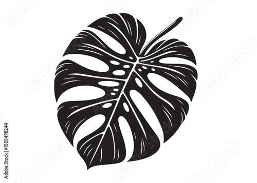 monstera leaf logo silhouette vector, tropical leaf logo icon silhouette vector, monstera deliciosa leaf silhouette vector design, jungle leaves monstera logo silhouettes vector on a white background