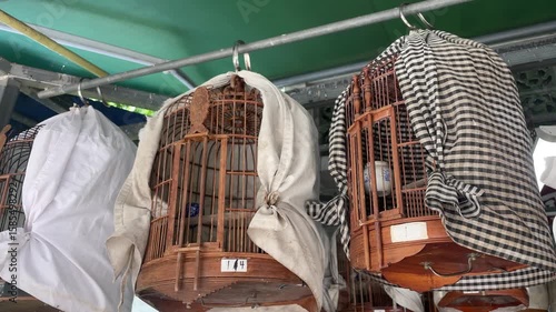 Colorful birds perched inside cages at a bustling bird market in Hong Kong, showcasing vibrant avian species, traditional market atmosphere

