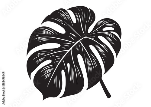monstera leaf logo silhouette vector, tropical leaf logo icon silhouette vector, monstera deliciosa leaf silhouette vector design, jungle leaves monstera logo silhouettes vector on a white background