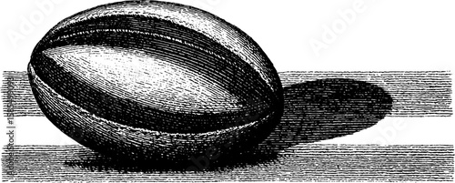 Vintage rugby engraving set featuring traditional ball design for art prints and sports decor