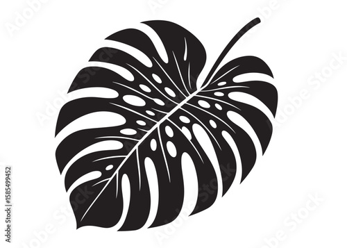 monstera leaf logo silhouette vector, tropical leaf logo icon silhouette vector, monstera deliciosa leaf silhouette vector design, jungle leaves monstera logo silhouettes vector on a white background