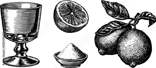 Vintage engraved illustration of sidecar cocktail elements with citrus and sugar for design