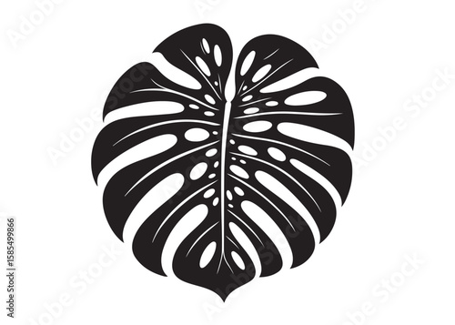 monstera leaf logo silhouette vector, tropical leaf logo icon silhouette vector, monstera deliciosa leaf silhouette vector design, jungle leaves monstera logo silhouettes vector on a white background