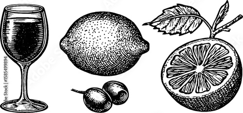 Classic engraved illustration of spritz veneziano with lemon and olive elements for design