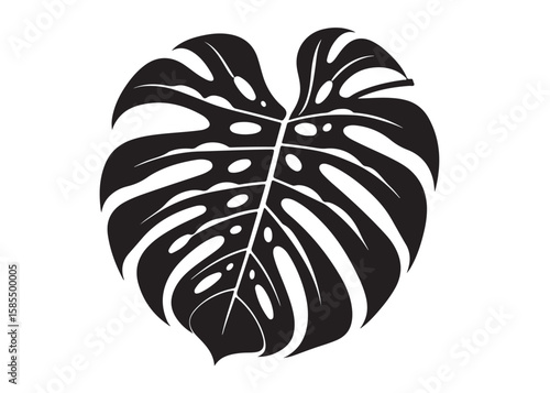 monstera leaf logo silhouette vector, tropical leaf logo icon silhouette vector, monstera deliciosa leaf silhouette vector design, jungle leaves monstera logo silhouettes vector on a white background
