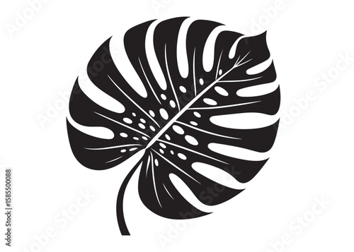 monstera leaf logo silhouette vector, tropical leaf logo icon silhouette vector, monstera deliciosa leaf silhouette vector design, jungle leaves monstera logo silhouettes vector on a white background