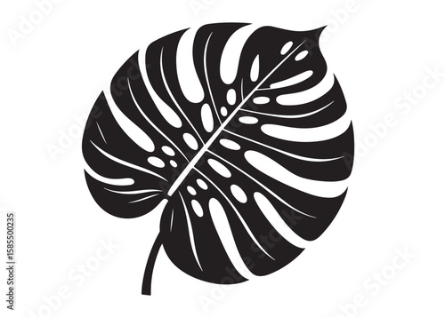 monstera leaf logo silhouette vector, tropical leaf logo icon silhouette vector, monstera deliciosa leaf silhouette vector design, jungle leaves monstera logo silhouettes vector on a white background