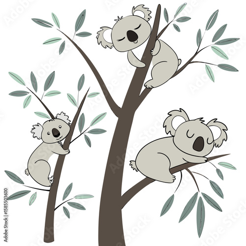 bear on tree