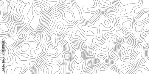 Abstract Topographical Contours: A graphic representation of topographical contours. Illustrating elevation changes and landscape formations, evoking a sense of geography.