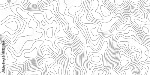 Contour Map of Topography: The image presents a detailed topographical map using contour lines to illustrate elevation changes across an area. 