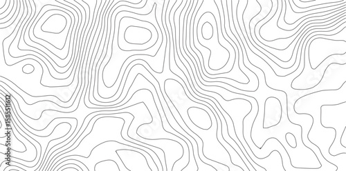 Topographic Map Lines: Abstract design of grayscale topographical map lines depicting elevation, contour, and geographical features. Emphasizing the earth's detailed surface.