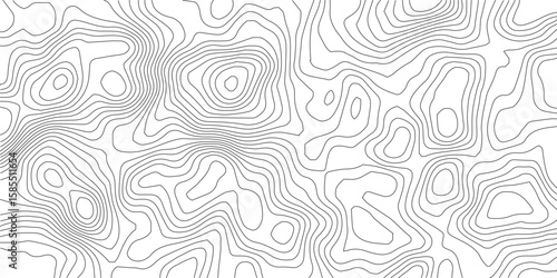 Topographic Contour Map: An intricate, minimalist map of topographic contour lines, evoking the essence of geographical elevation and terrain. 