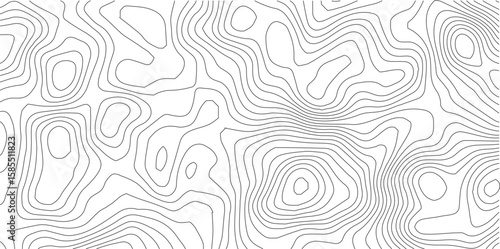 Contour Map: Intricate contour lines form a mesmerizing pattern, offering a visual representation of elevation data, ideal for conveying concepts of geography and topographic analysis.