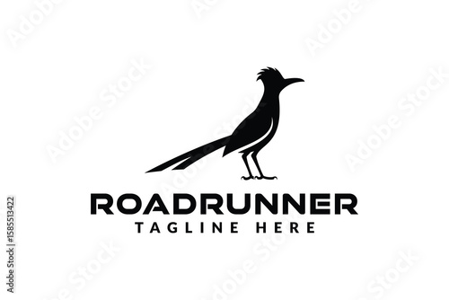 roadrunner bird logo vector icon illustration	