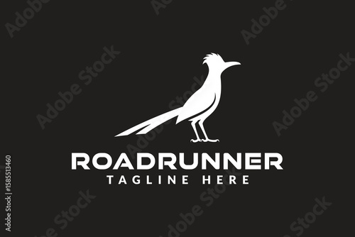 roadrunner bird logo vector icon illustration	