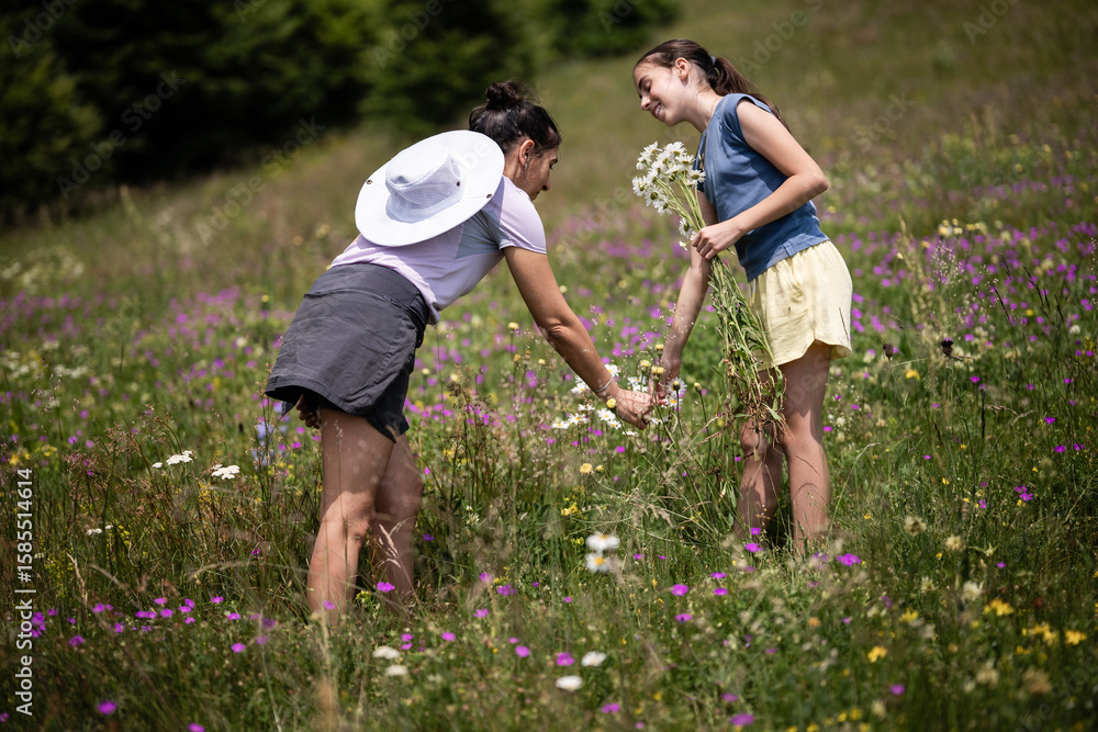 Fototapeta premium Mother and daughter picking wildflowers in a meadow