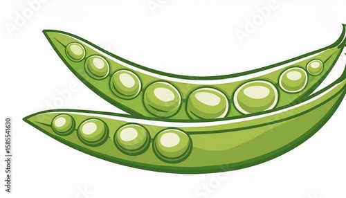 snow peas logo isolated on a white white background