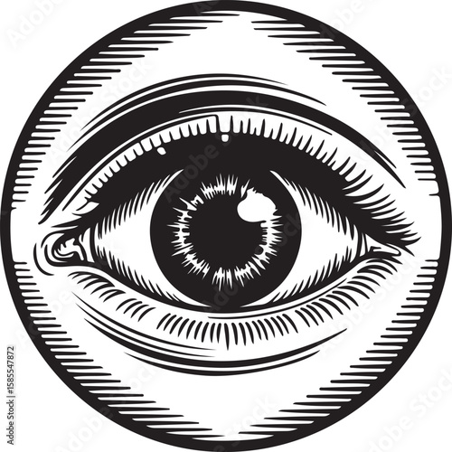 Vector illustration of a woman's eye with detailed iris, eyelashes, and pupil, symbolizing beauty, vision, and sight