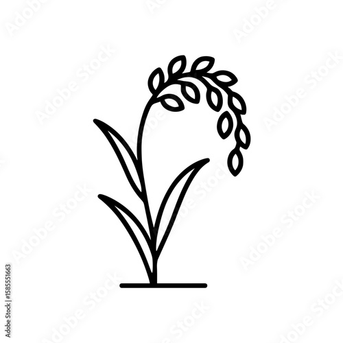 Rice plant, symbolizing paddy agriculture – outline