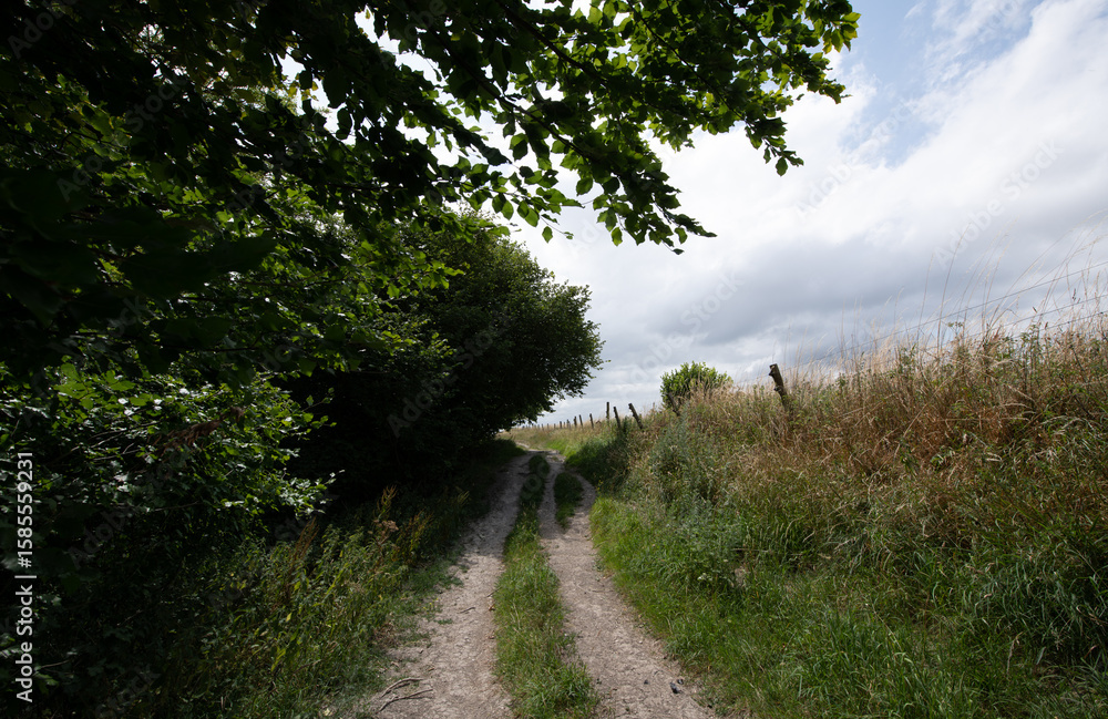 Obraz premium A peaceful rural scene showing a hillside path under a cloudy sky, with open views across the countryside.