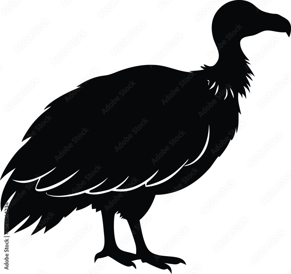 Fototapeta premium vulture bird silhouette vector