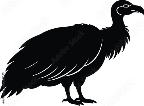 vulture bird silhouette vector